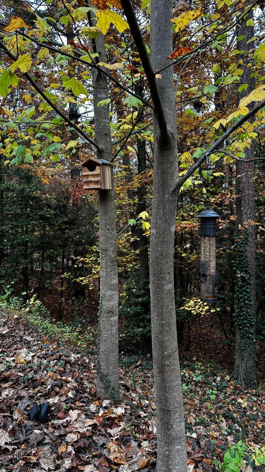 Appalachian Mountain Cabin-Updated-Private-Rafting On Ocoee River-Hiking-Waterfalls-Wifi-Pets Ok Murphy Ngoại thất bức ảnh