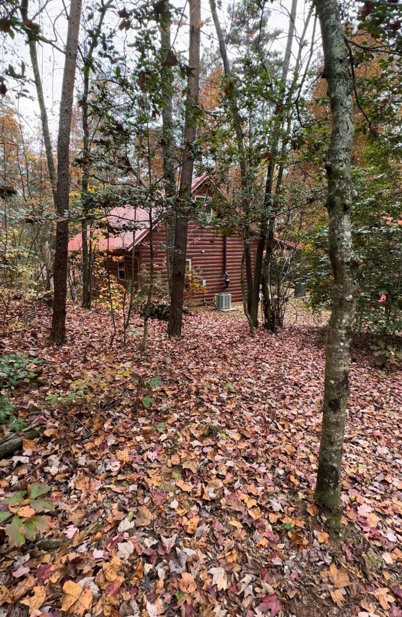 Appalachian Mountain Cabin-Updated-Private-Rafting On Ocoee River-Hiking-Waterfalls-Wifi-Pets Ok Murphy Ngoại thất bức ảnh